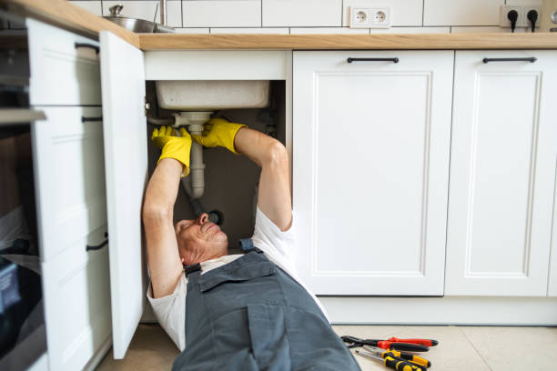 Best Plumbing Services Near Me  in Shields, MI