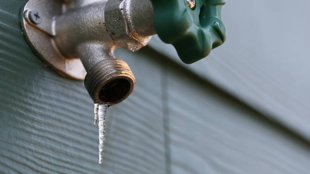 Best Sewer Line Repair  in Shields, MI